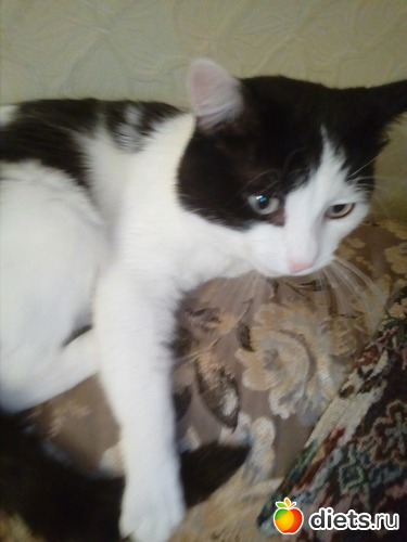 9 ����: ��������)))