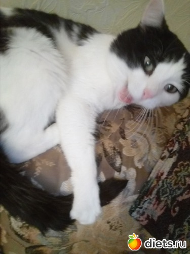 10 ����: ��������)))