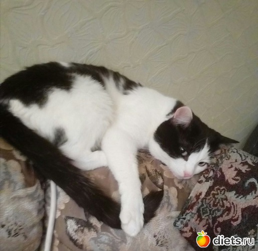 11 ����: ��������)))