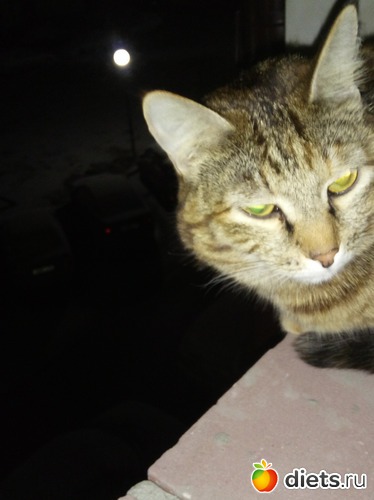 13 ����: ��������)))