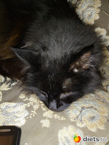 15 ����: ��������)))