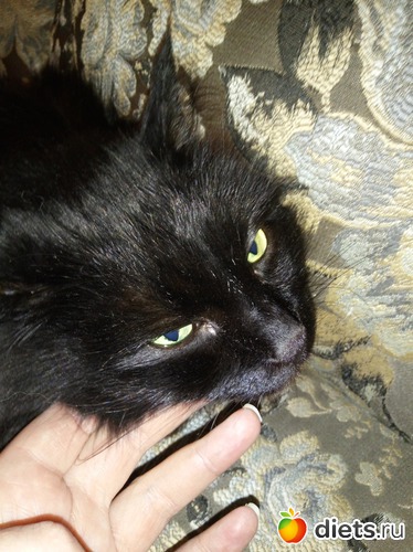 16 ����: ��������)))