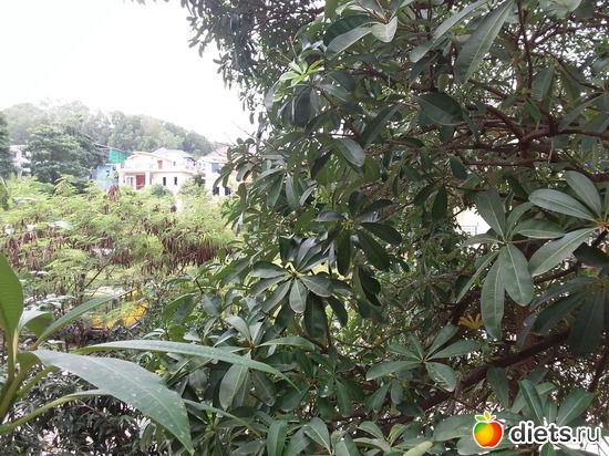 ��� � ������� 8.11.2017 8-30 ����, ������: ������ ���.