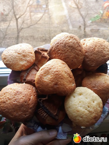 1 ����: ���������� �������