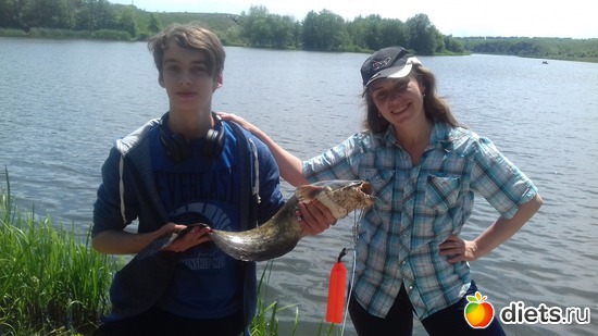 5 ����: ����