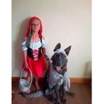 ��������� �� �����. ����������.