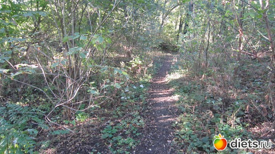 1 ����: ������������� "������".