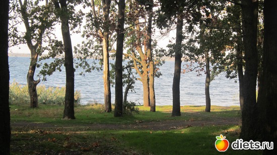 5 ����: ������������� "������".