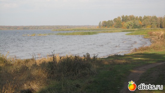 7 ����: ������������� "������".