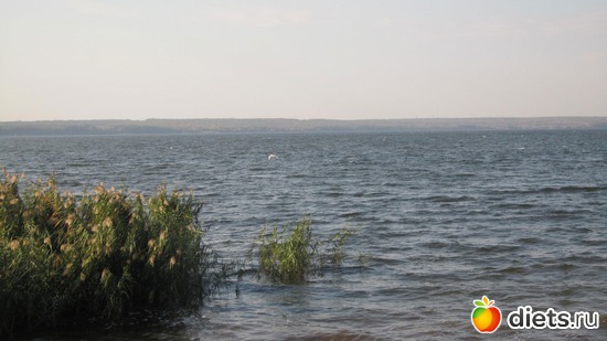 8 ����: ������������� "������".