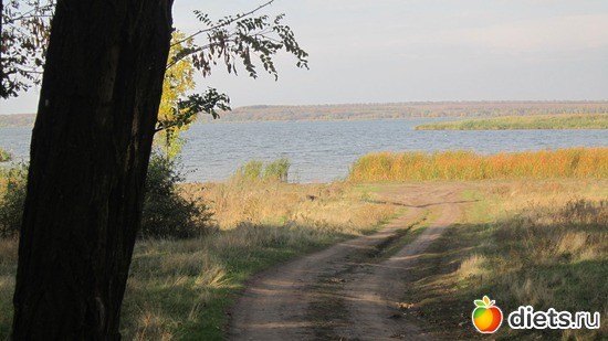 11 ����: ������������� "������".