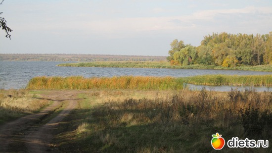 13 ����: ������������� "������".