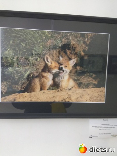 44 ����: ��������