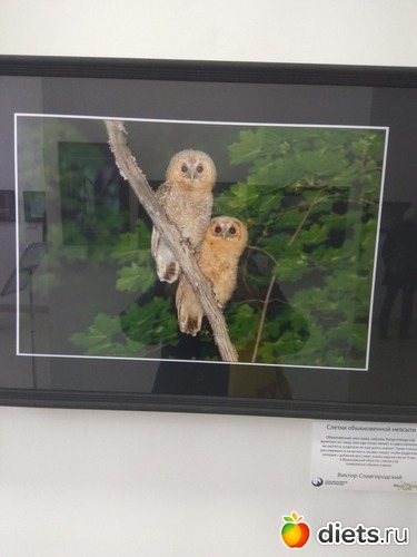 45 ����: ��������