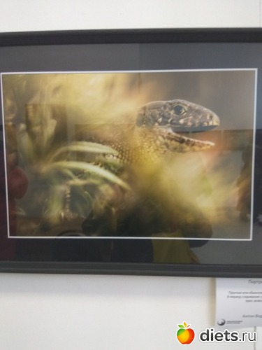 48 ����: ��������