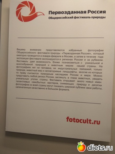 52 ����: ��������