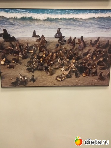 55 ����: ��������