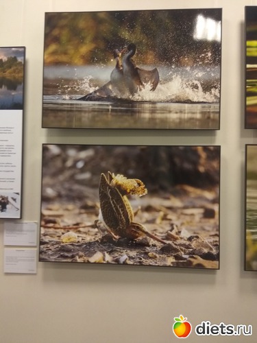 59 ����: ��������