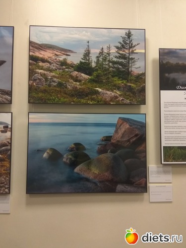 61 ����: ��������