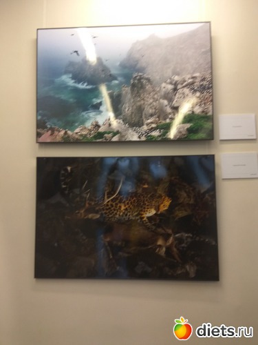 65 ����: ��������