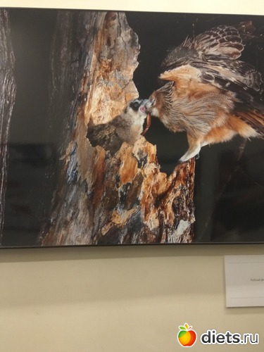 67 ����: ��������