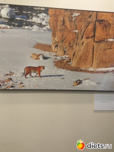 68 ����: ��������