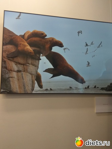 69 ����: ��������