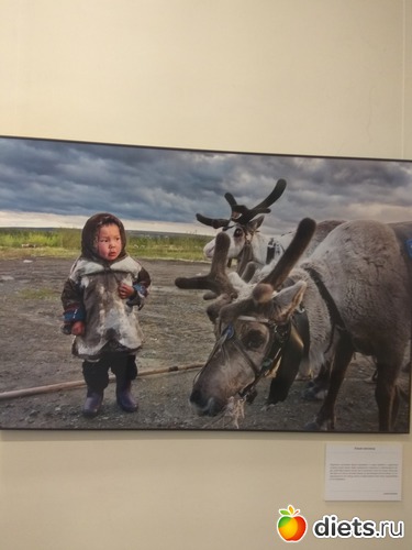 72 ����: ��������