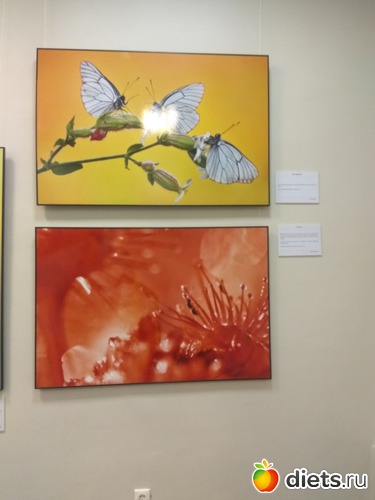 75 ����: ��������