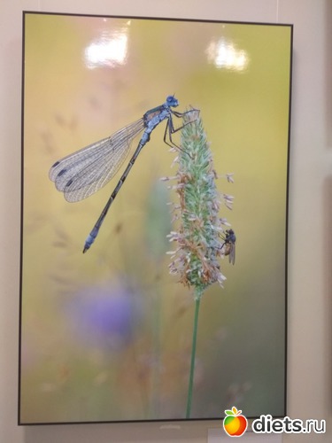 76 ����: ��������