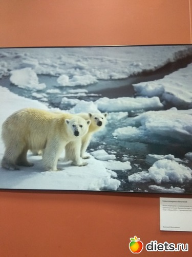 77 ����: ��������