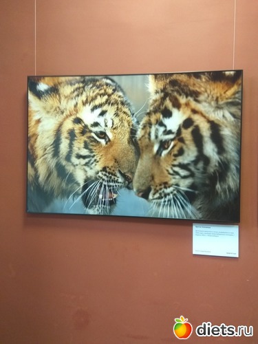 79 ����: ��������