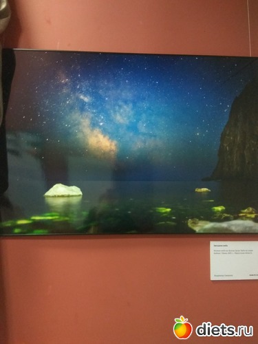 81 ����: ��������