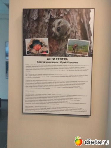 83 ����: ��������