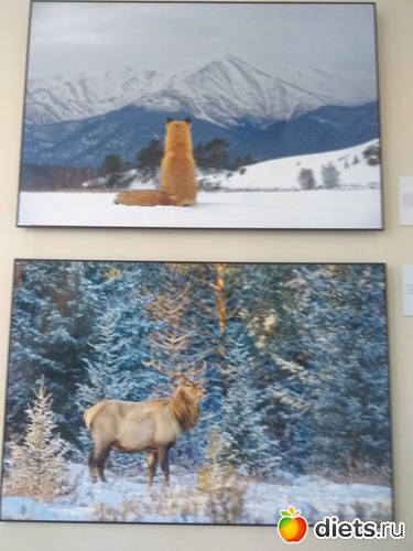 86 ����: ��������