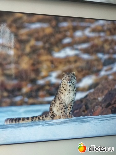 88 ����: ��������