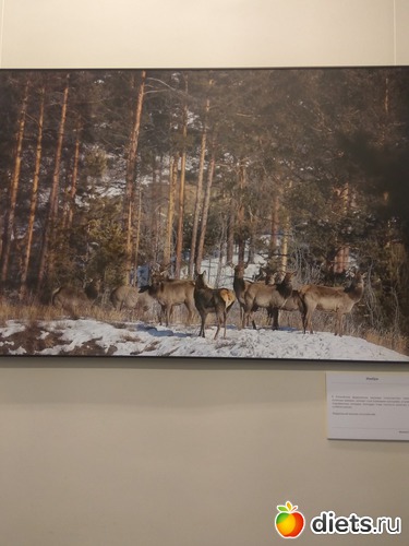 90 ����: ��������