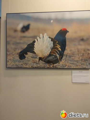 92 ����: ��������