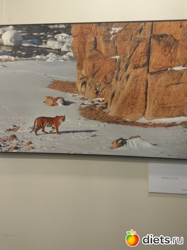 93 ����: ��������