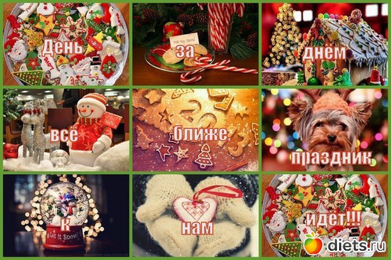 23 ����: ����������)))