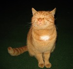 ��-�� �� � ������, �������... ������ ��� ������.