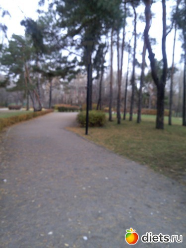 2 ����: ��������� ������� � ������