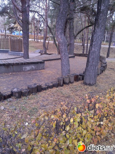 3 ����: ��������� ������� � ������