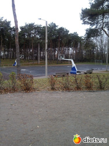 5 ����: ��������� ������� � ������