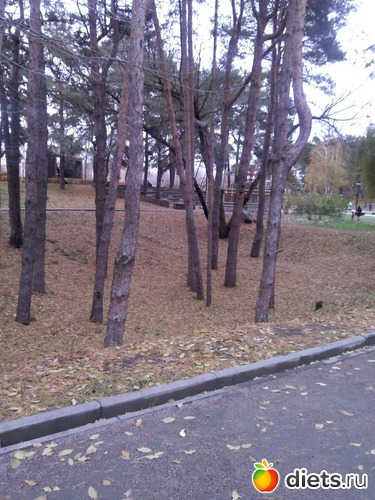 6 ����: ��������� ������� � ������