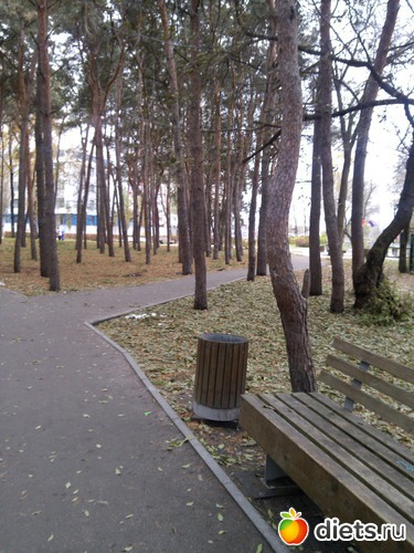 12 ����: ��������� ������� � ������