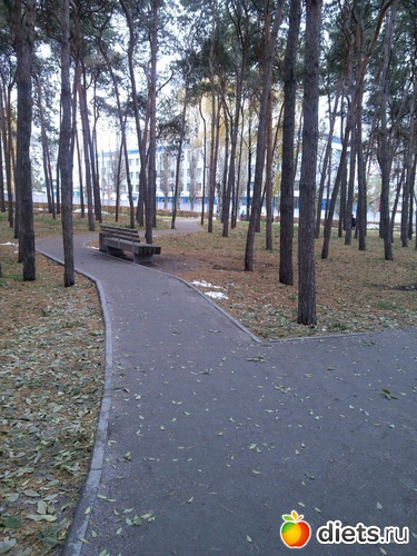 13 ����: ��������� ������� � ������