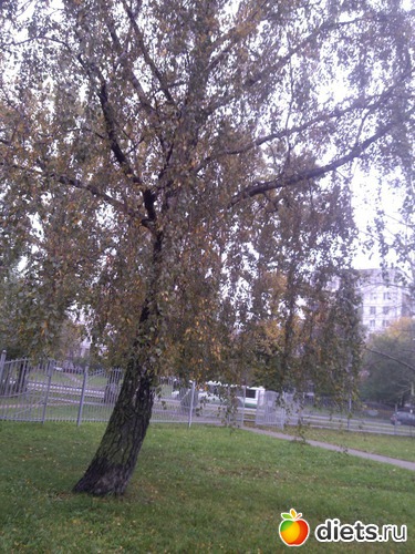 17 ����: ��������� ������� � ������