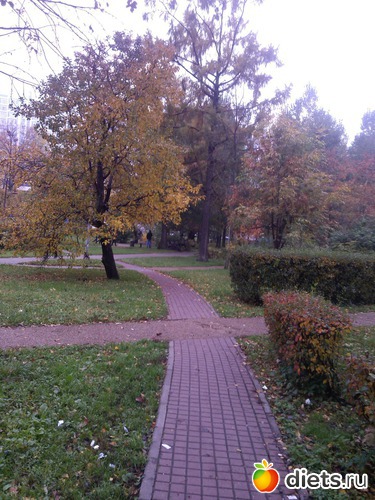 19 ����: ��������� ������� � ������