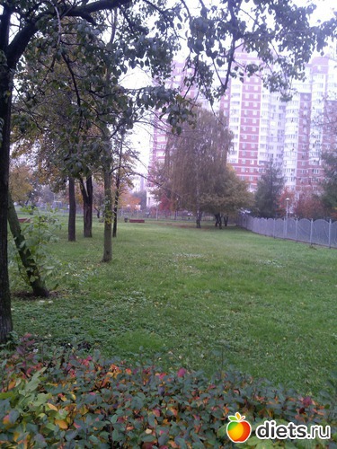 20 ����: ��������� ������� � ������